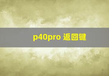 p40pro 返回键